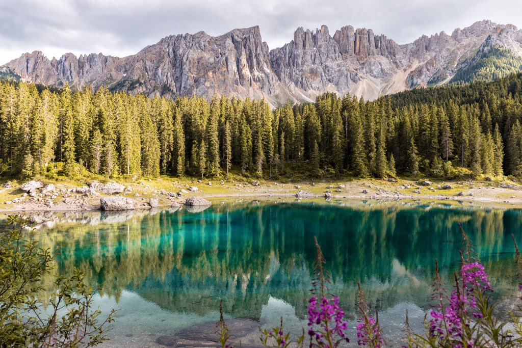 Stunning nature picture