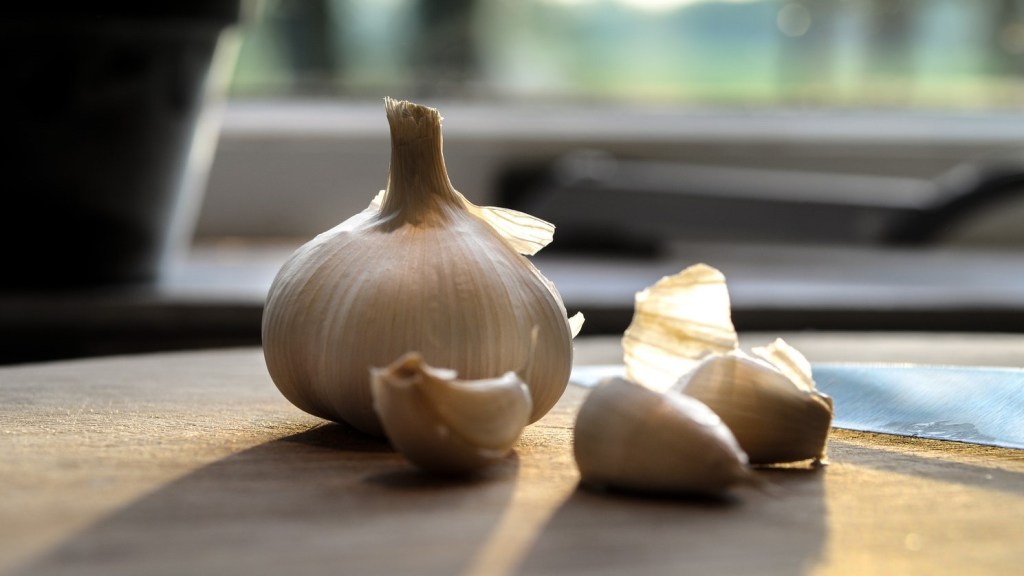 Garlic on a table - The stinking healer