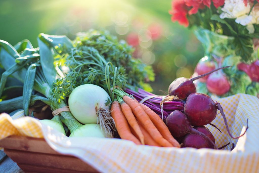 Bowl of healthy vegetables
