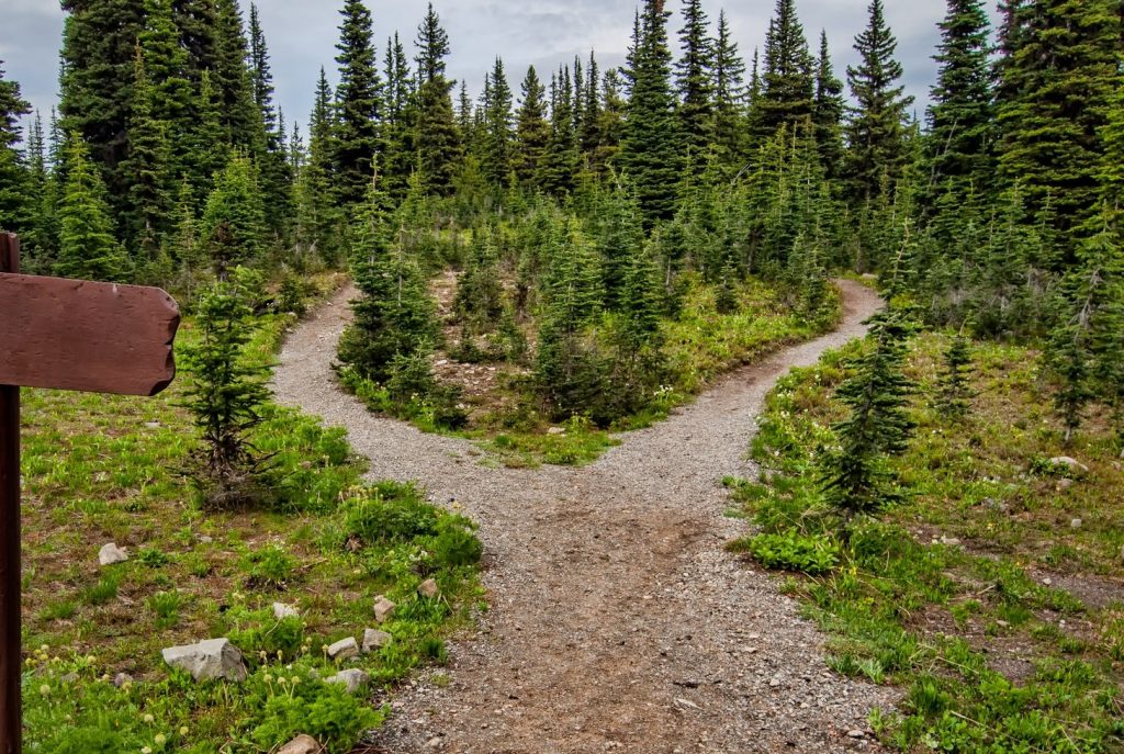 Fork in the Road of Spiritual Life