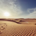 Dry dry desert