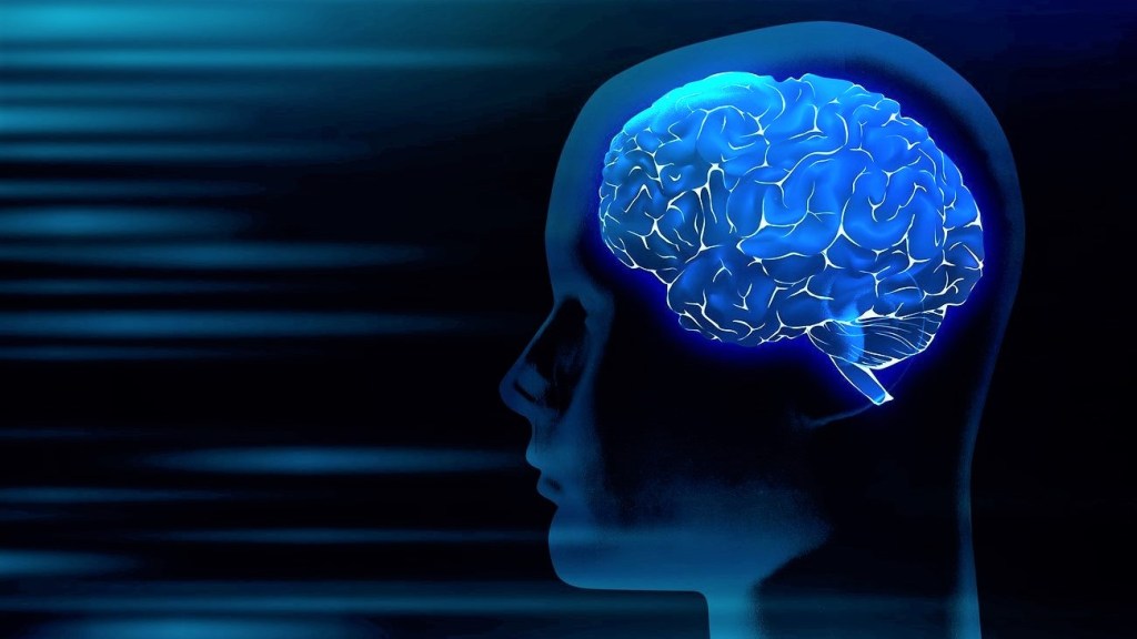 Brain Health - Digital image of a brain