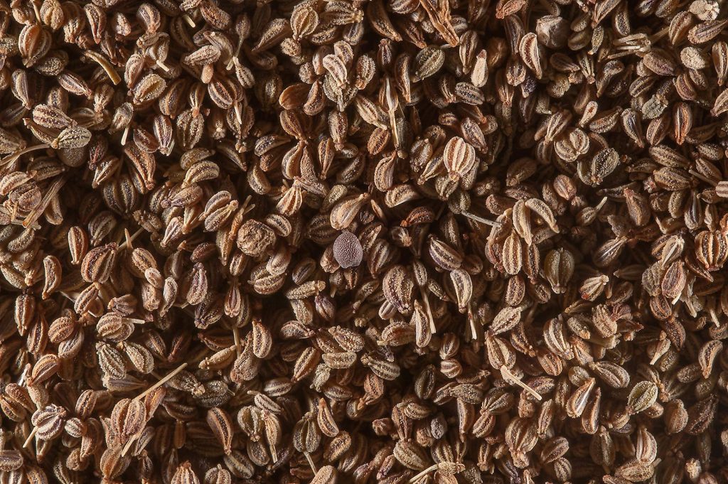 Apium graveolens seeds